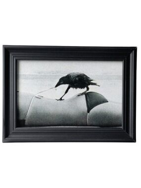 Vintage bird bikini funny retro woman girl summertime summer ocean Beach 70s